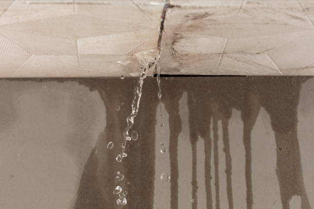 Professional Burst Pipe Cleanup technician working in Deer Park, IL